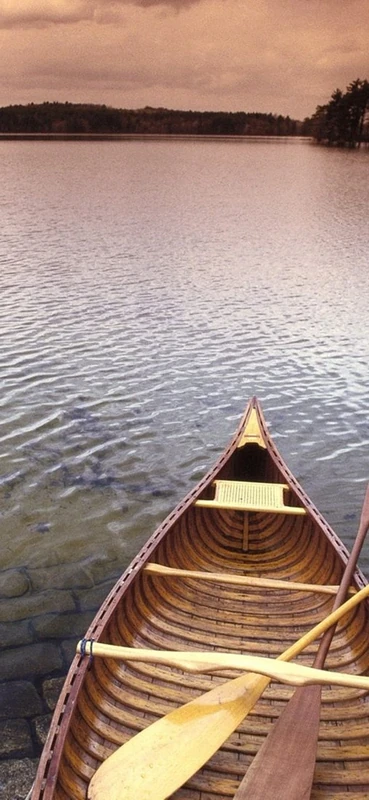 PeelitStickit, Beautiful Nature Wall Murals, ID-0405, vinyl