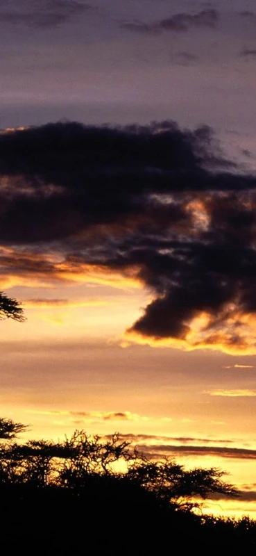 PeelitStickit, Beautiful Nature Wall Murals, ID-0409, vinyl