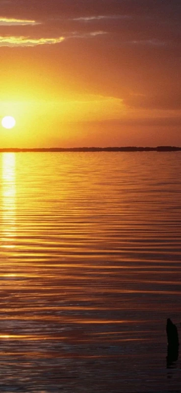 PeelitStickit, Beautiful Nature Wall Murals, ID-0410, vinyl