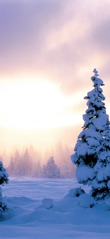 PeelitStickit, Beautiful Nature Wall Murals, ID-0412, vinyl