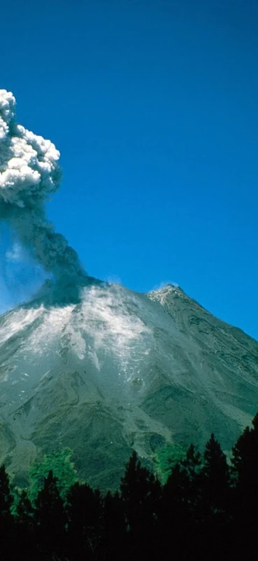 PeelitStickit, Beautiful Nature Wall Murals, ID-0418, vinyl