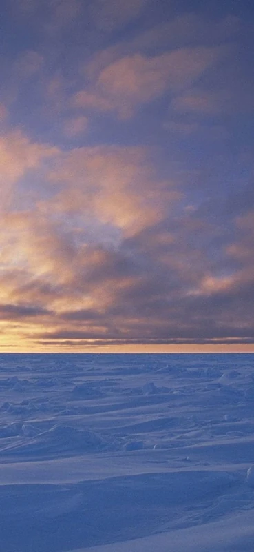 PeelitStickit, Beautiful Nature Wall Murals, ID-0417, vinyl