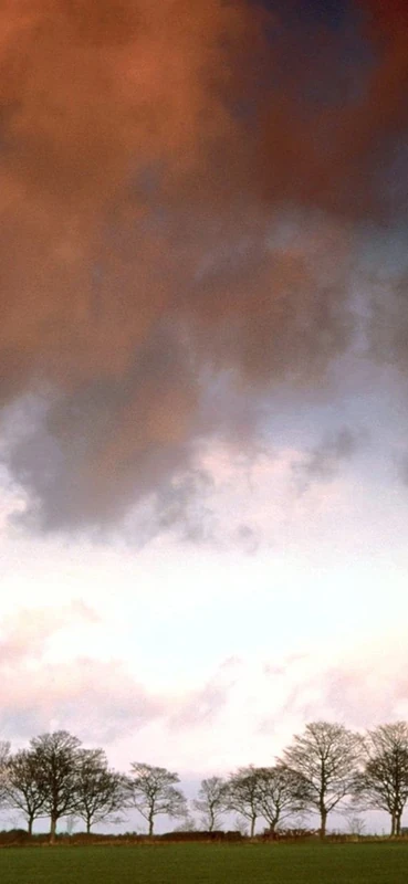 PeelitStickit, Beautiful Nature Wall Murals, ID-0433, vinyl