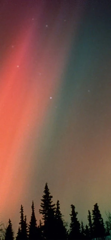 PeelitStickit, Beautiful Nature Wall Murals, ID-0435, vinyl