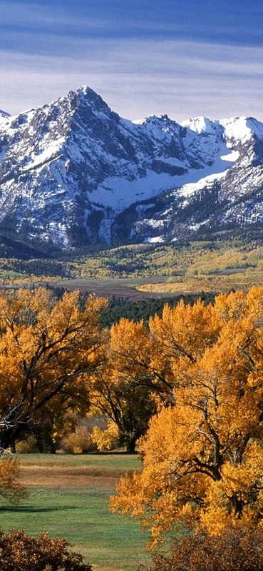 PeelitStickit, Beautiful Nature Wall Murals, ID-0444, vinyl