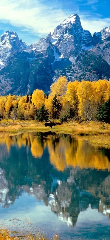 PeelitStickit, Beautiful Nature Wall Murals, ID-0450, vinyl