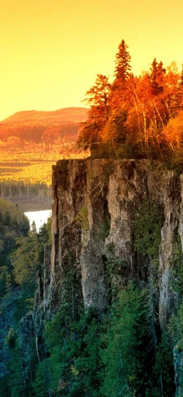 PeelitStickit, Beautiful Nature Wall Murals, ID-0455, vinyl