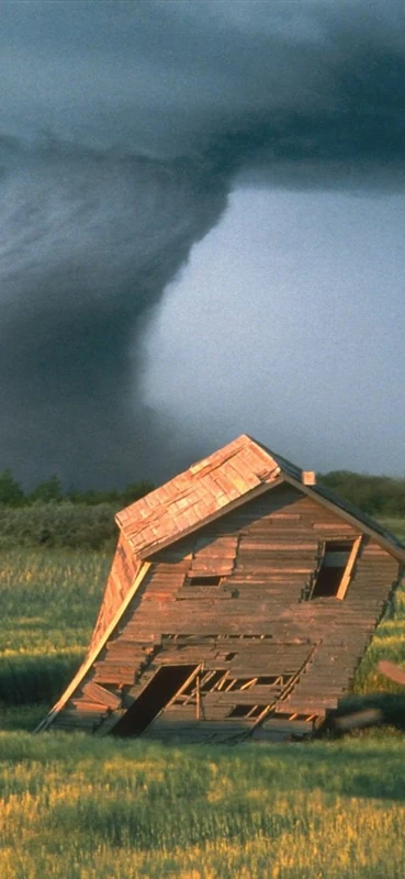 PeelitStickit, Beautiful Nature Wall Murals, ID-0466, vinyl