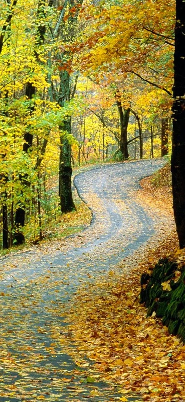 PeelitStickit, Beautiful Nature Wall Murals, ID-0461, vinyl