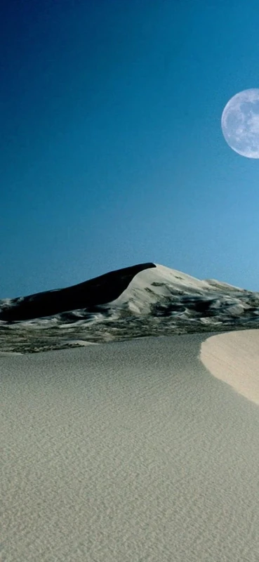 PeelitStickit, Beautiful Nature Wall Murals, ID-0471, vinyl