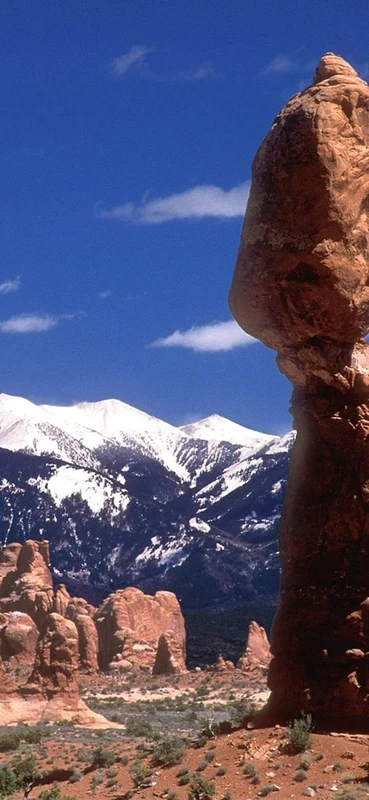 PeelitStickit, Beautiful Nature Wall Murals, ID-0476, vinyl