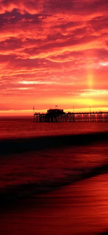 PeelitStickit, Beautiful Nature Wall Murals, ID-0478, vinyl