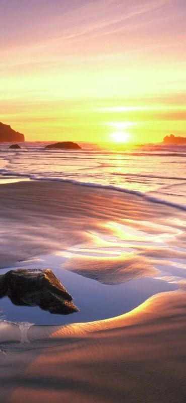 PeelitStickit, Beautiful Nature Wall Murals, ID-0481, vinyl