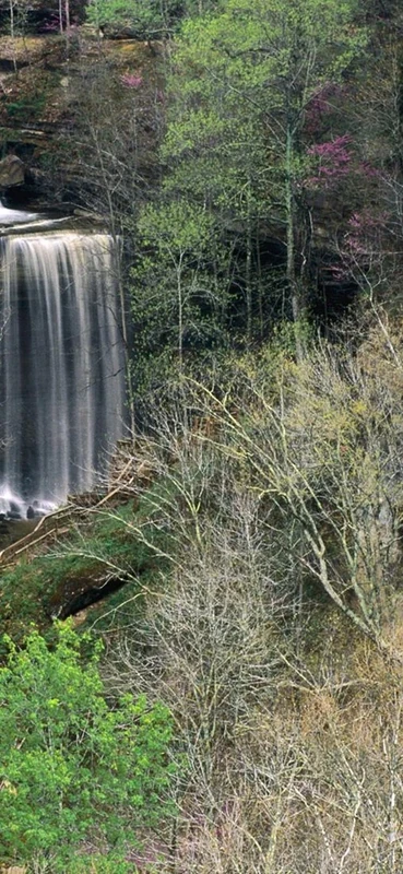 PeelitStickit, Beautiful Nature Wall Murals, ID-0489, vinyl