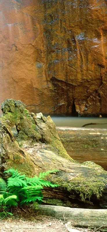 PeelitStickit, Beautiful Nature Wall Murals, ID-0487, vinyl