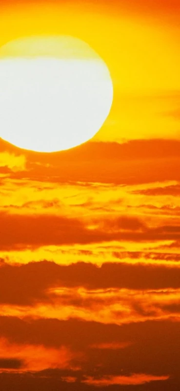 PeelitStickit, Beautiful Nature Wall Murals, ID-0498, vinyl