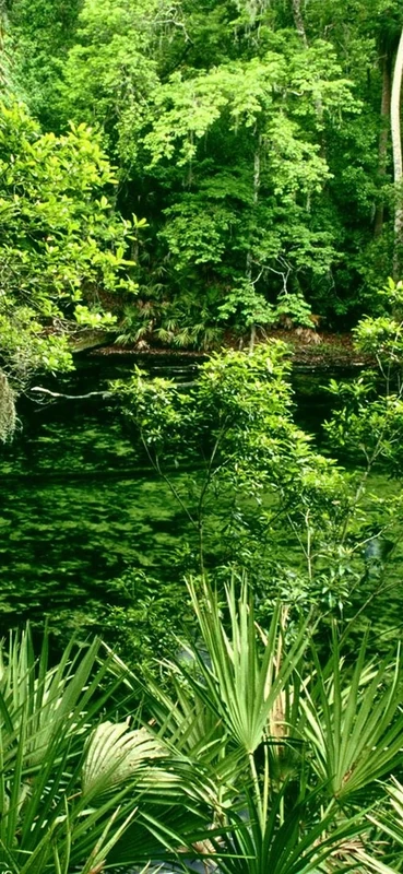 PeelitStickit, Beautiful Nature Wall Murals, ID-0503, vinyl