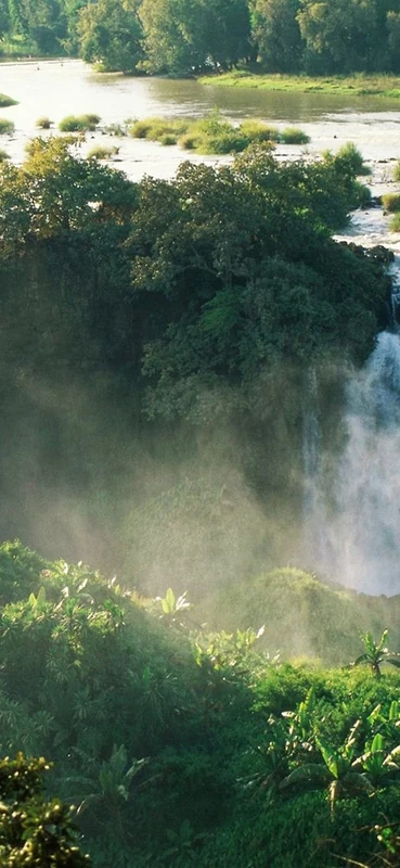 PeelitStickit, Beautiful Nature Wall Murals, ID-0501, vinyl