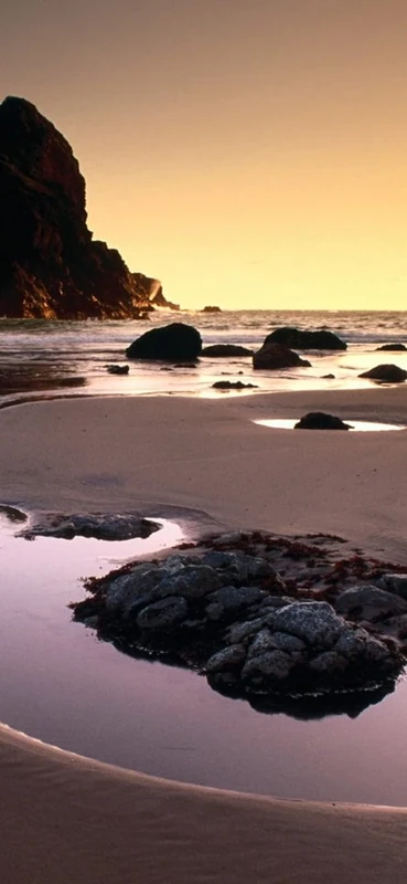 PeelitStickit, Beautiful Nature Wall Murals, ID-0504, vinyl