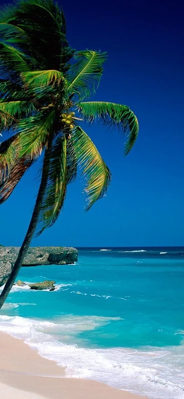 PeelitStickit, Beautiful Nature Wall Murals, ID-0508, vinyl