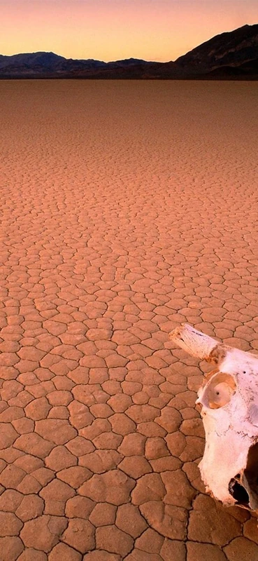 PeelitStickit, Beautiful Nature Wall Murals, ID-0506, vinyl