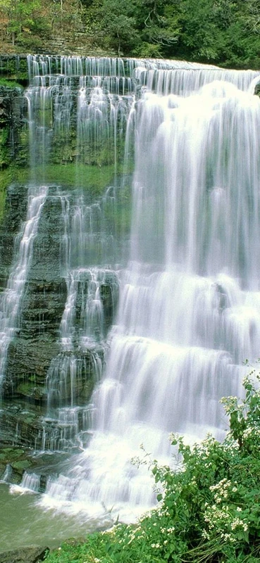 PeelitStickit, Beautiful Nature Wall Murals, ID-0516, vinyl