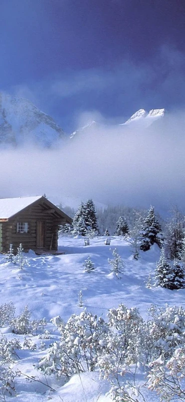 PeelitStickit, Beautiful Nature Wall Murals, ID-0522, vinyl