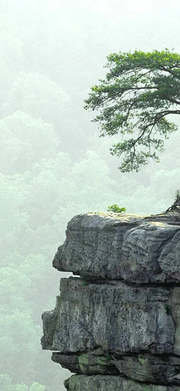 PeelitStickit, Beautiful Nature Wall Murals, ID-0519, vinyl