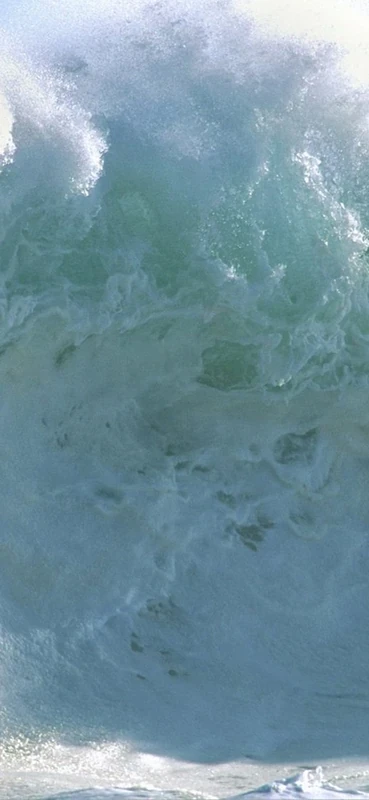 PeelitStickit, Beautiful Nature Wall Murals, ID-0525, vinyl