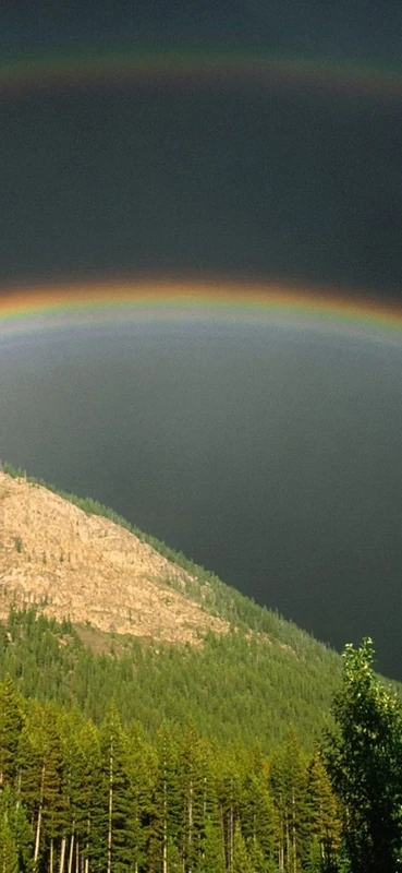 PeelitStickit, Beautiful Nature Wall Murals, ID-0533, vinyl