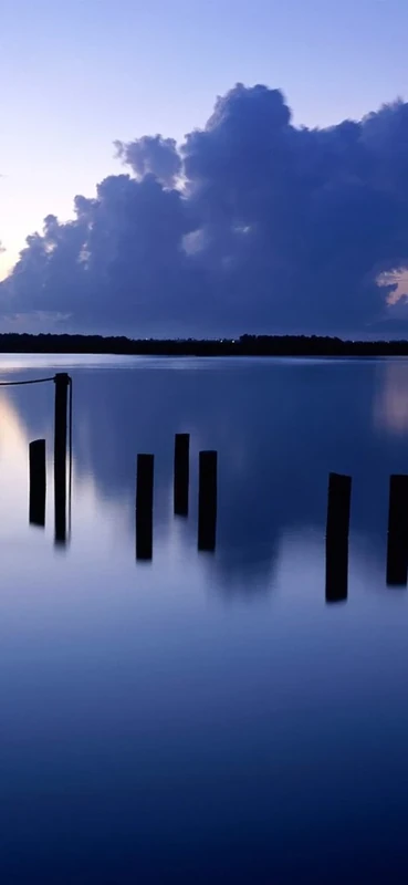 PeelitStickit, Beautiful Nature Wall Murals, ID-0531, vinyl