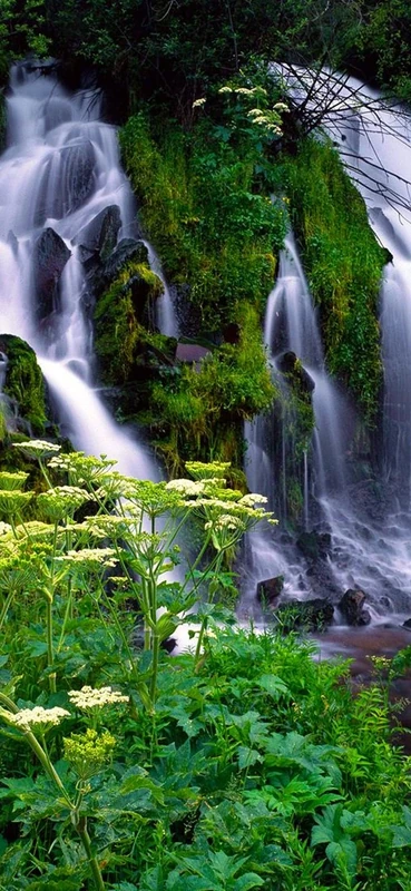 PeelitStickit, Beautiful Nature Wall Murals, ID-0544, vinyl