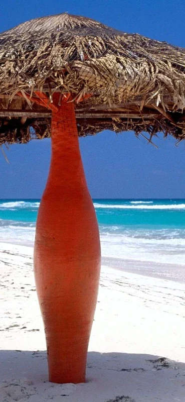 PeelitStickit, Beautiful Nature Wall Murals, ID-0550, vinyl