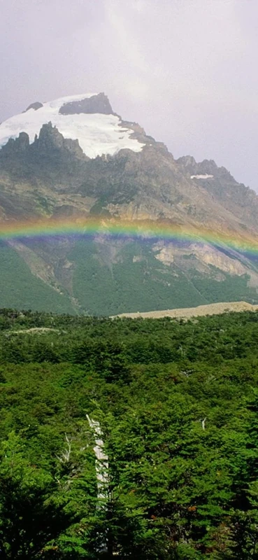 PeelitStickit, Beautiful Nature Wall Murals, ID-0553, vinyl