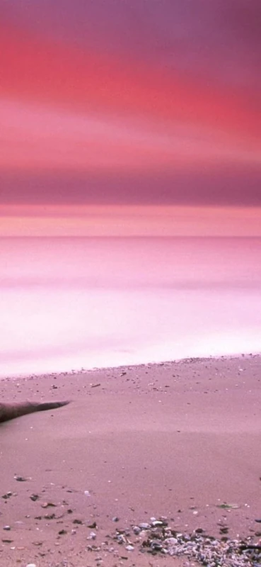 PeelitStickit, Beautiful Nature Wall Murals, ID-0557, vinyl