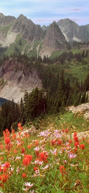 PeelitStickit, Beautiful Nature Wall Murals, ID-0568, vinyl