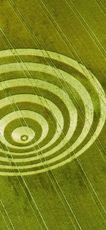 PeelitStickit, Beautiful Nature Wall Murals, ID-0566, vinyl