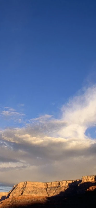 PeelitStickit, Beautiful Nature Wall Murals, ID-0573, vinyl