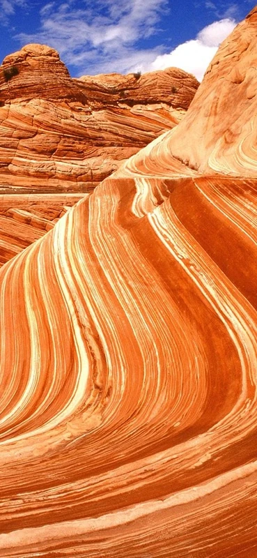 PeelitStickit, Beautiful Nature Wall Murals, ID-0581, vinyl