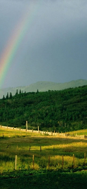 PeelitStickit, Beautiful Nature Wall Murals, ID-0583, vinyl