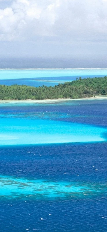 PeelitStickit, Beautiful Nature Wall Murals, ID-0589, vinyl