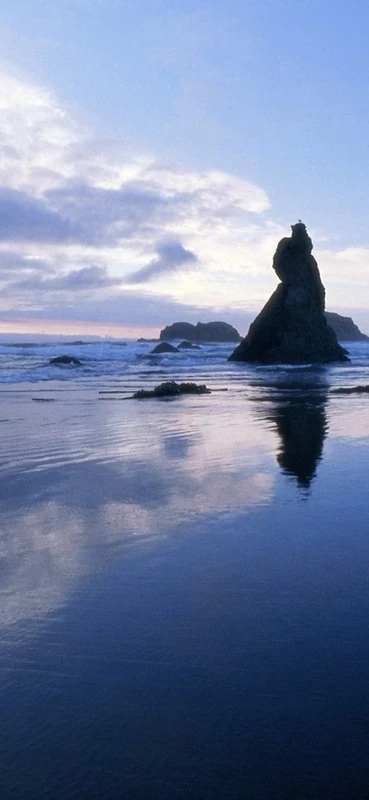 PeelitStickit, Beautiful Nature Wall Murals, ID-0593, vinyl