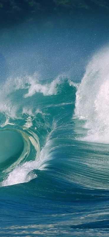 PeelitStickit, Beautiful Nature Wall Murals, ID-0600, vinyl