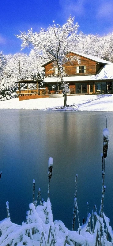 PeelitStickit, Beautiful Nature Wall Murals, ID-0595, vinyl