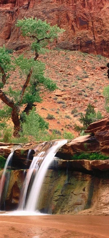 PeelitStickit, Beautiful Nature Wall Murals, ID-0599, vinyl