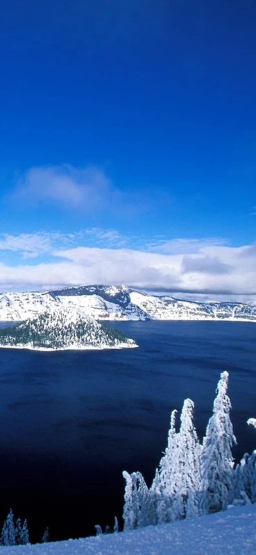 PeelitStickit, Beautiful Nature Wall Murals, ID-0602, vinyl