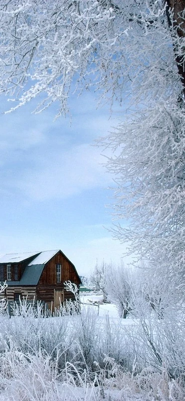 PeelitStickit, Beautiful Nature Wall Murals, ID-0620, vinyl