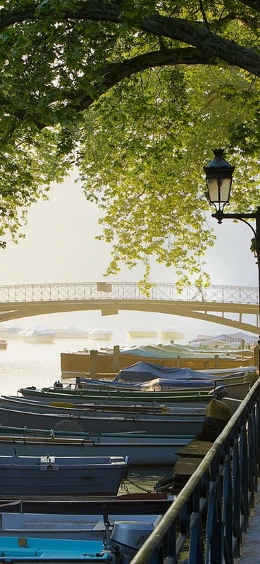 PeelitStickit, Beautiful Nature Wall Murals, ID-0656, vinyl