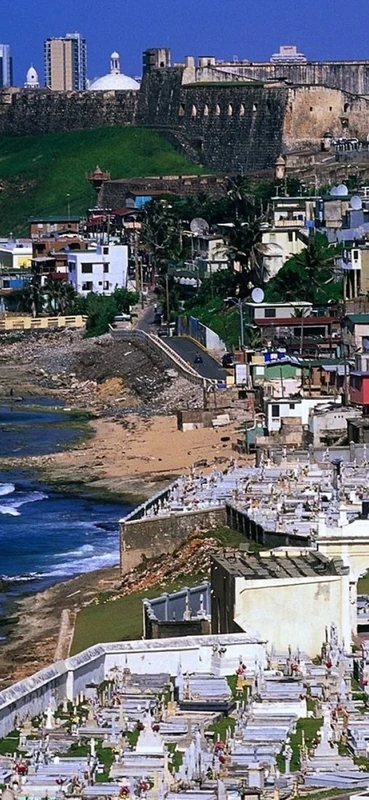 PeelitStickit, Beautiful Nature Wall Murals, ID-0663, vinyl