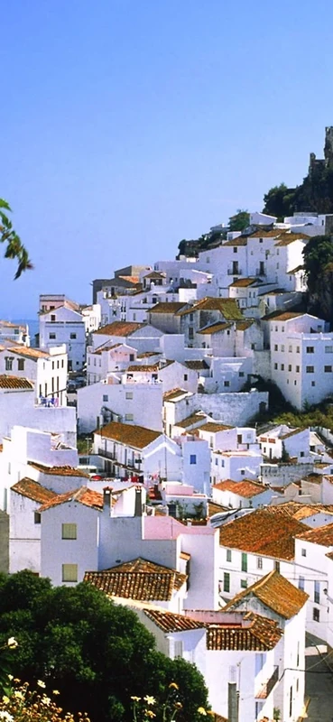 PeelitStickit, Beautiful Nature Wall Murals, ID-0659, vinyl